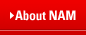 About Nomura